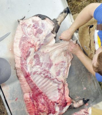 Patru persoane, internate cu trichineloză: au mâncat un porc crescut lângă şobolani
